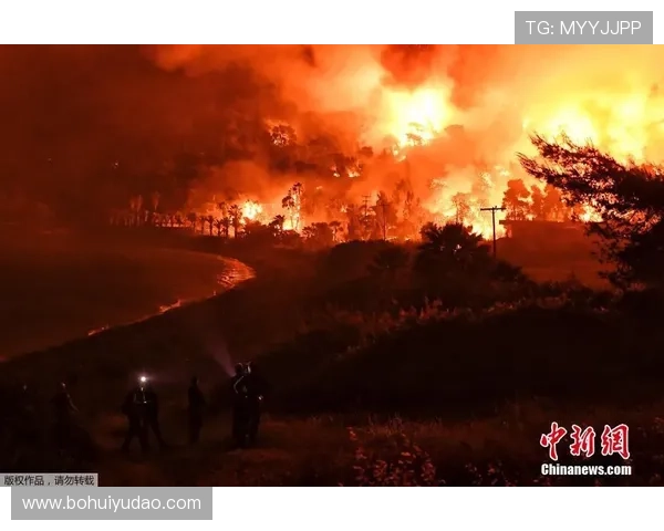 开云体育手机官网最新赛事资讯尽在掌握，享受极致体育体验和便捷在线投注